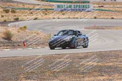 media/Oct-25-2025-West Coast Racing (Sat) [[9fdcbcd09c]]/Yellow group/Turn 4/